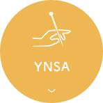 YNSA